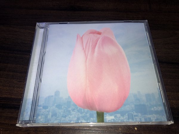 大切なものは君以外に見当たらなくて 微熱リフレイン CD flumpool フランプール 1円出品 送料200円拍卖