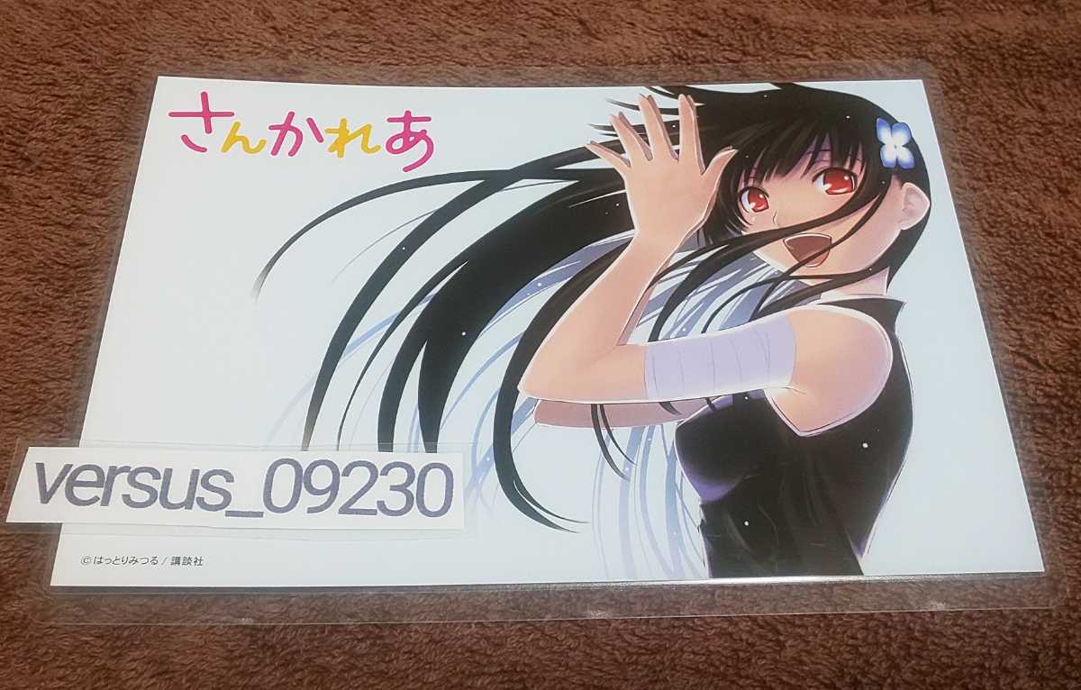 ♪『さんかれあ』♪イラストカード♪ラミネート加工済(説明欄必読)♪はっとりみつる♪拍卖