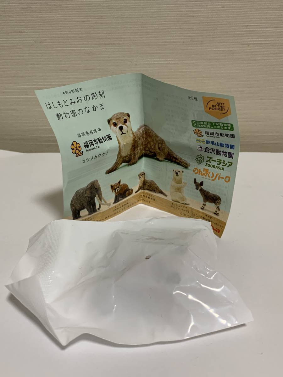 木彫り彫刻家 はしもとみおの彫刻 動物園のなかま カプセルトイ ガチャ コツメカワウソ 1体 ( 袋未開封 未使用品 )拍卖