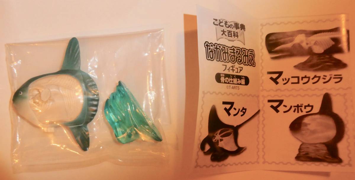こども事典大百科 なかまるみえ フィギュア 骨の仕組み編 マンボウ拍卖