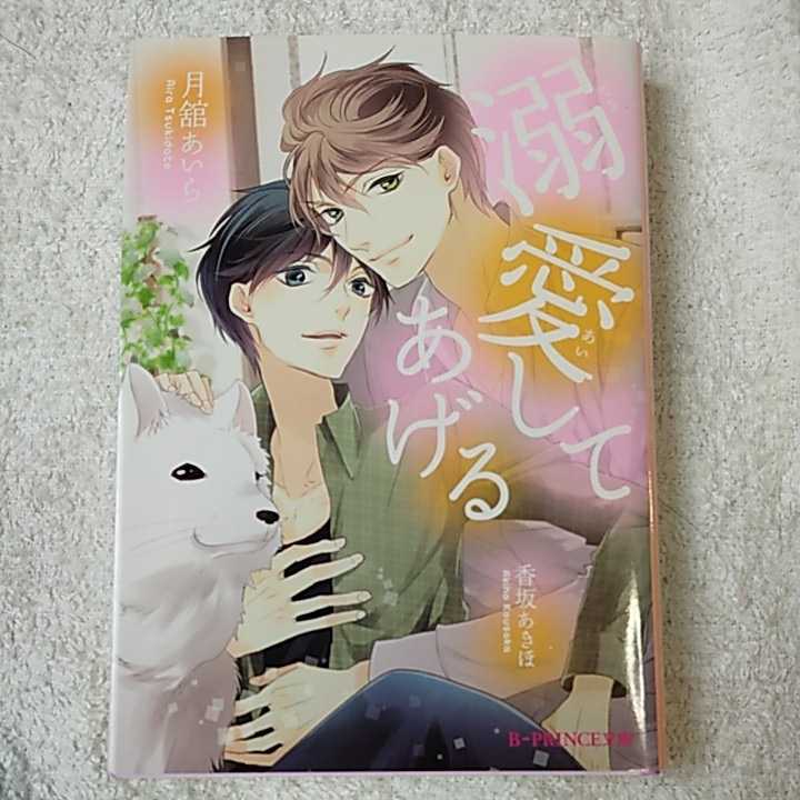 溺愛してあげる (B-PRINCE文庫) 月舘あいら 香坂あきほ 9784048650809拍卖