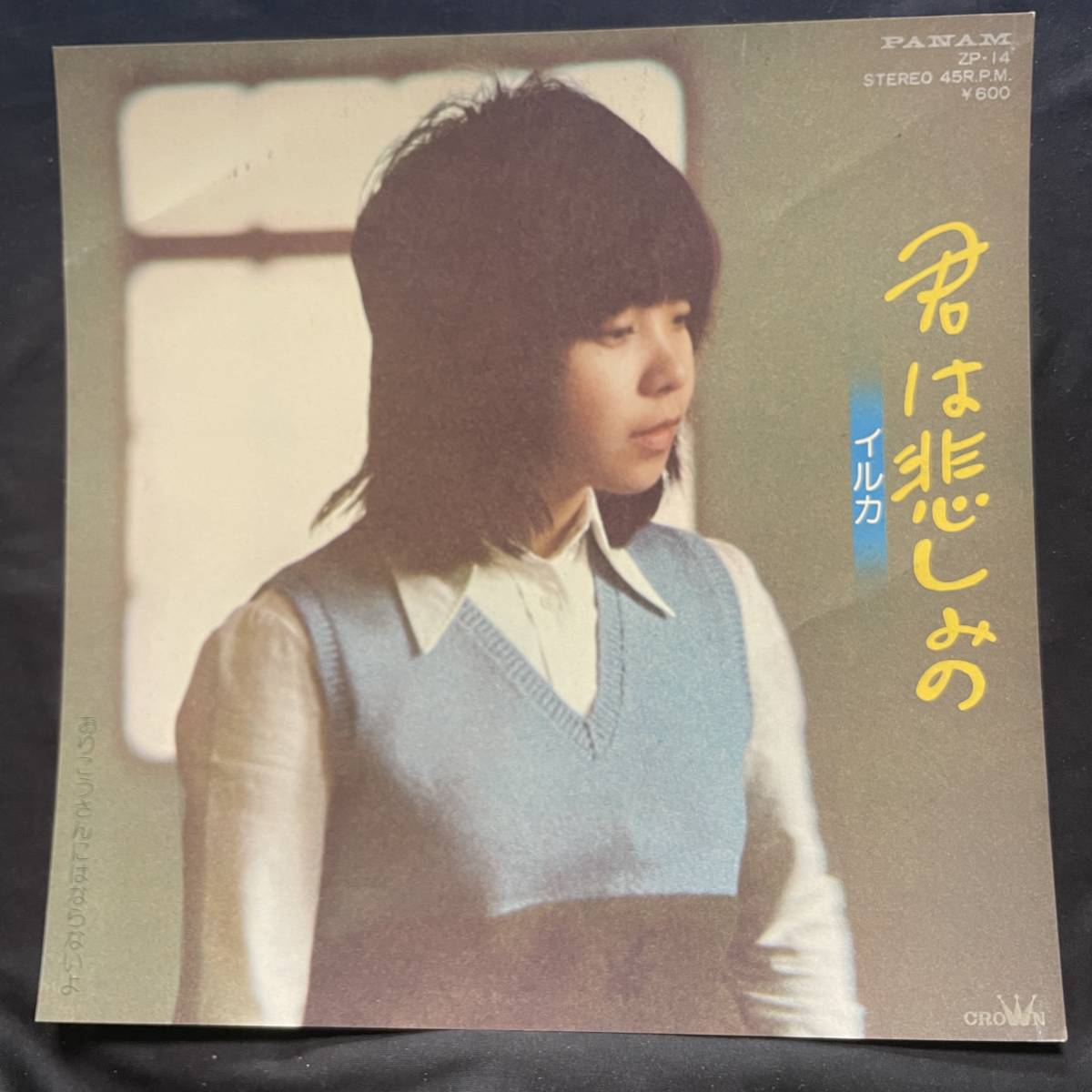 イルカ 君は悲しみの ジャケットのみです レコード盤は付属しません 国内盤 EP盤 シングル盤 中古品です拍卖