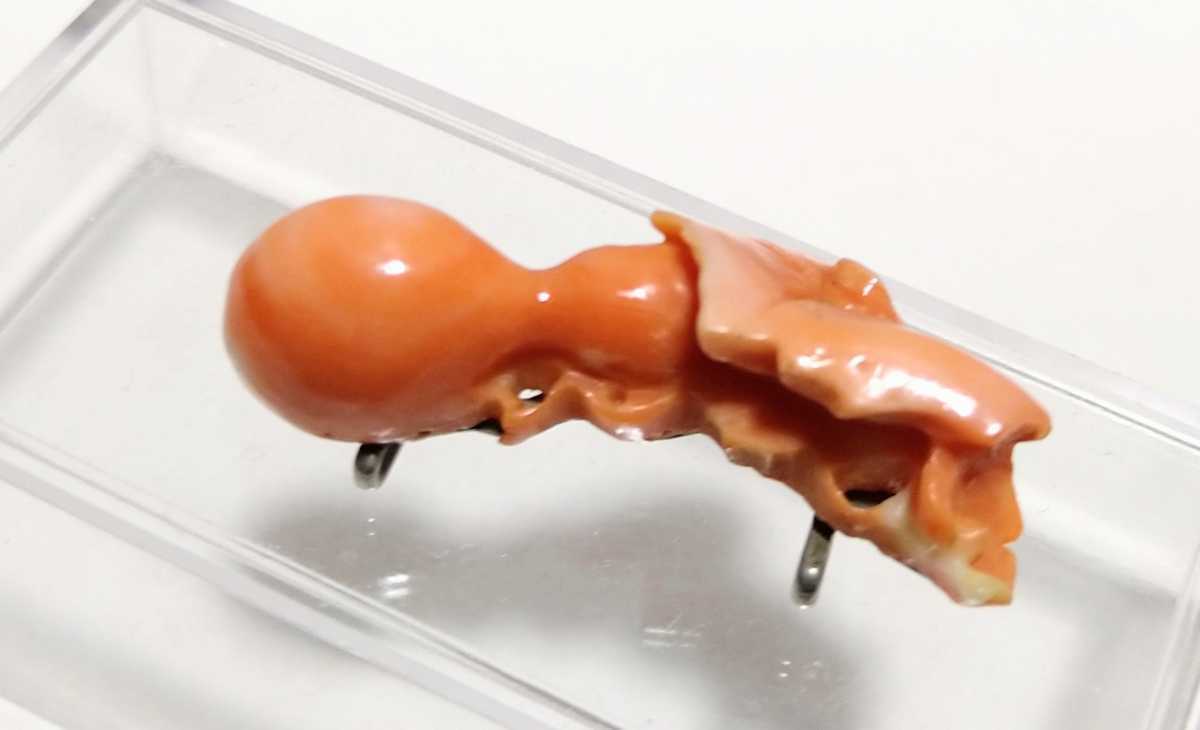 β 珊瑚 和装小物 瓢箪 帯留め β サンゴ ひょうたん 帯留 拍卖