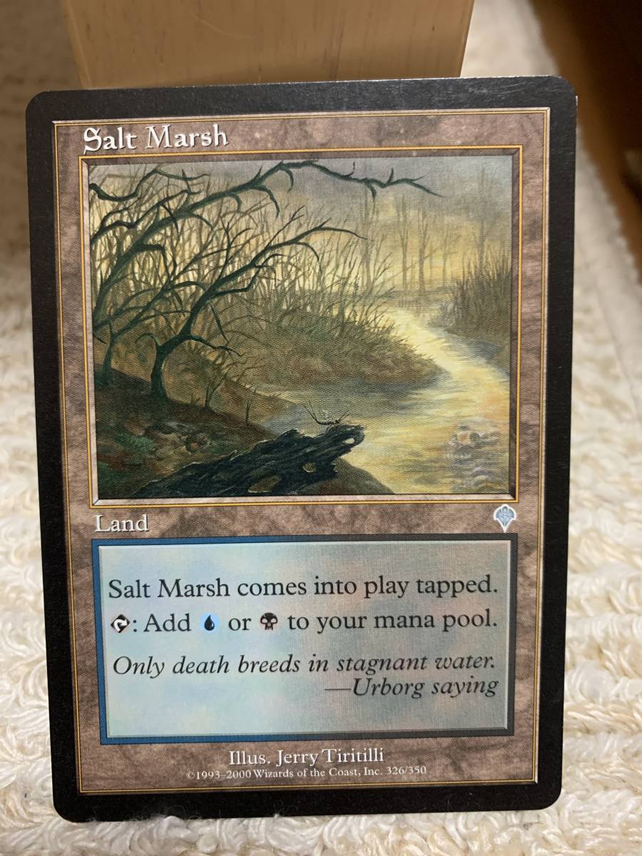 インヴェイジョン 初版 塩の湿地/Salt Marsh 英語版拍卖