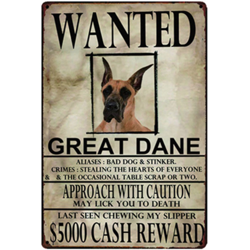 A2453 メタル サイン ブリキ 看板 金属 製 プレート 雑貨 動物 ペット 募集 求む 探してます 犬 愛犬 グレートデン 9969拍卖