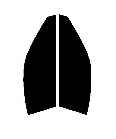 ゴースト2 ネオ オーロラ79 運転席、助手席 メルセデスベンツ SLクラス R231 カット済み フィルム拍卖