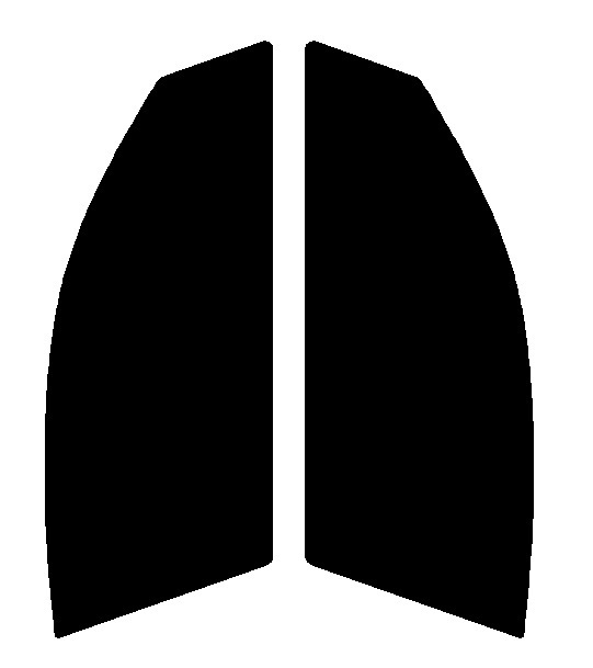 ゴースト2 ネオ オーロラ79 運転席、助手席 BMW 4シリーズ クーペ F32 カット済み フィルム拍卖