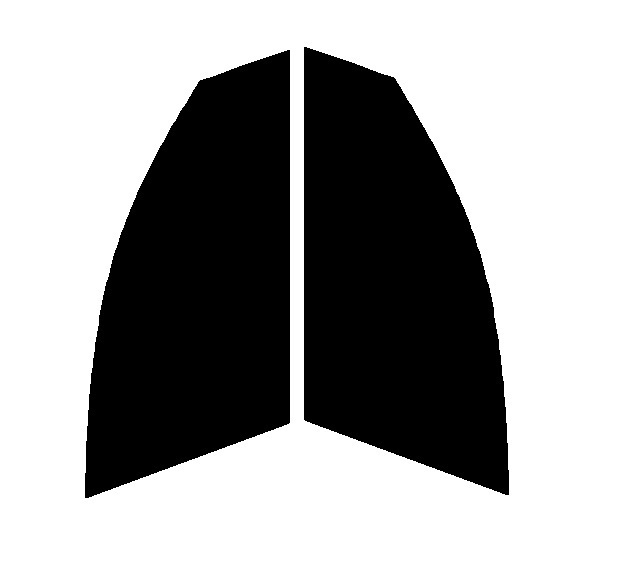 スパッタシルバー35 運転席・助手席 アウディ A6 アバント 4G カット済みカーフィルム拍卖