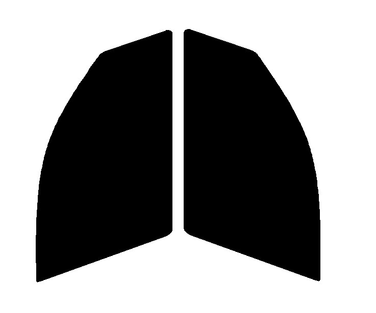 ライトスモーク 50% 運転席、助手席 BMW X3 F25 カット済みフィルム拍卖