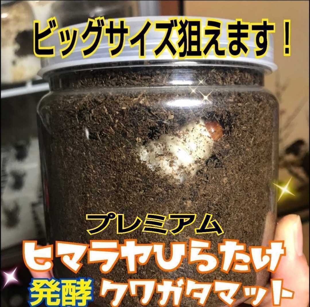 進化した!プレミアム3次発酵クワガタマット☆栄養添加剤、共生バクテリア3倍配合!アンテ・ミヤマ・ヒラタ・虹色・ノコギリが巨大化します拍卖