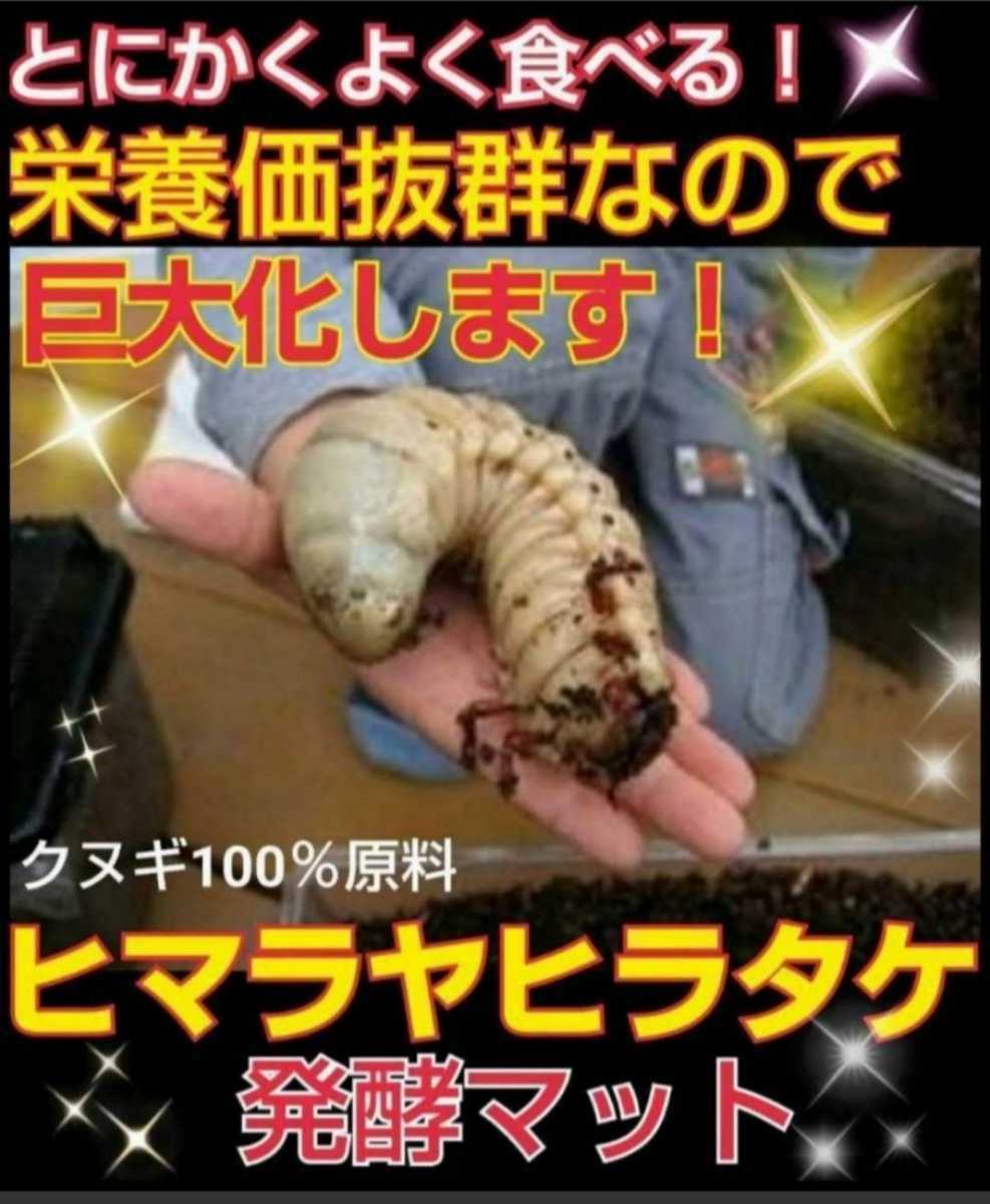 500リットル【改良版】ヒマラヤひらたけ発酵カブトムシマット!抜群の栄養価☆ クヌギ100%原料 幼虫の餌、産卵マット!ビッグサイズ狙える拍卖