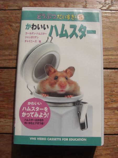 VHSビデオ 動物だいすき5★かわいいハムスター★ハムスターの飼い方 拍卖