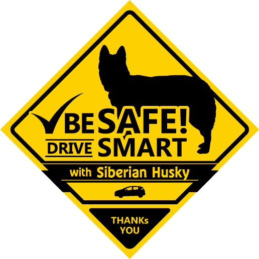 【新品・未使用】カーマグネット、カーサイン 犬が乗ってます xing シベリアンハスキー拍卖