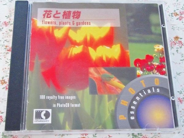 p/素材集 PhotoEssentials Vol.11 花と植物 チューリップ バラ アイリス きのこ 紫陽花 サボテン 公園拍卖