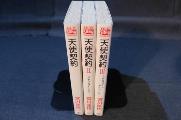 ☆送料無料☆ 天使契約 全3巻セット 1~3巻 宮川 匡代拍卖