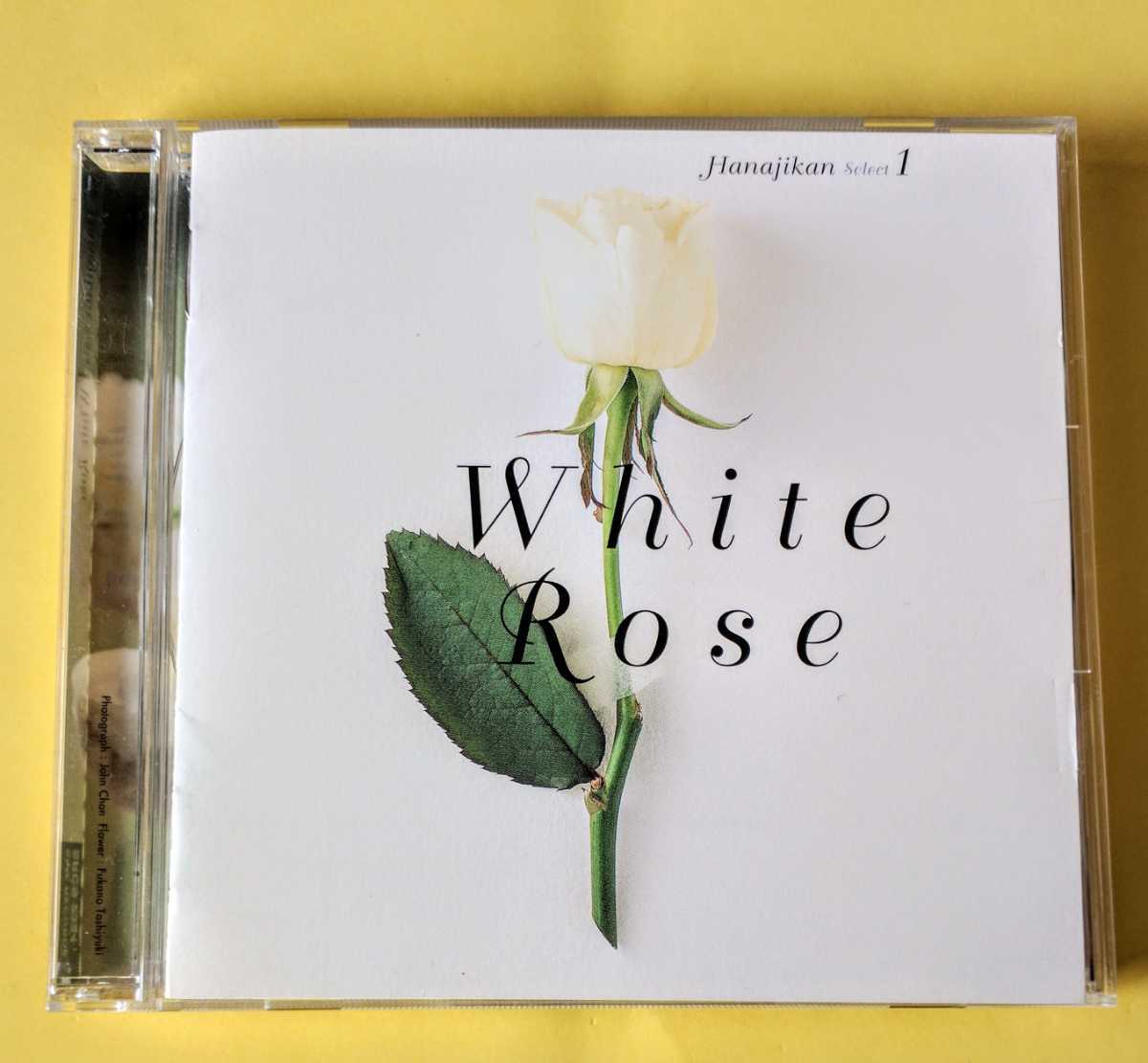 花時間 Select1 White Rose拍卖