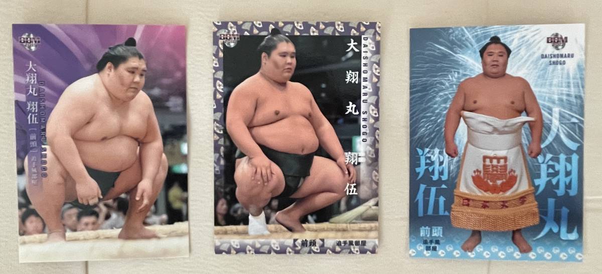 BBM 大相撲 大翔丸 翔伍レギュラーカード3枚拍卖