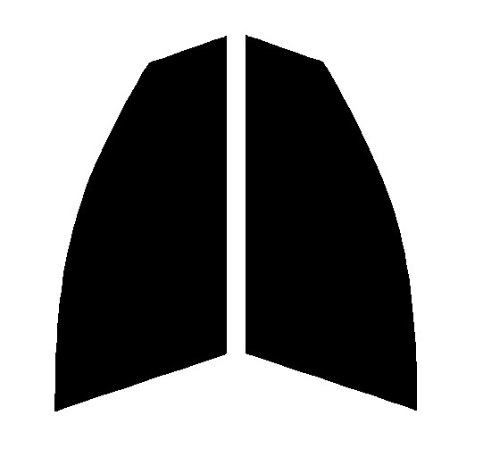 ハーフスモーク 76% 運転席、助手席 メルセデスベンツ Cクラス セダン W205 カット済みフィルム拍卖