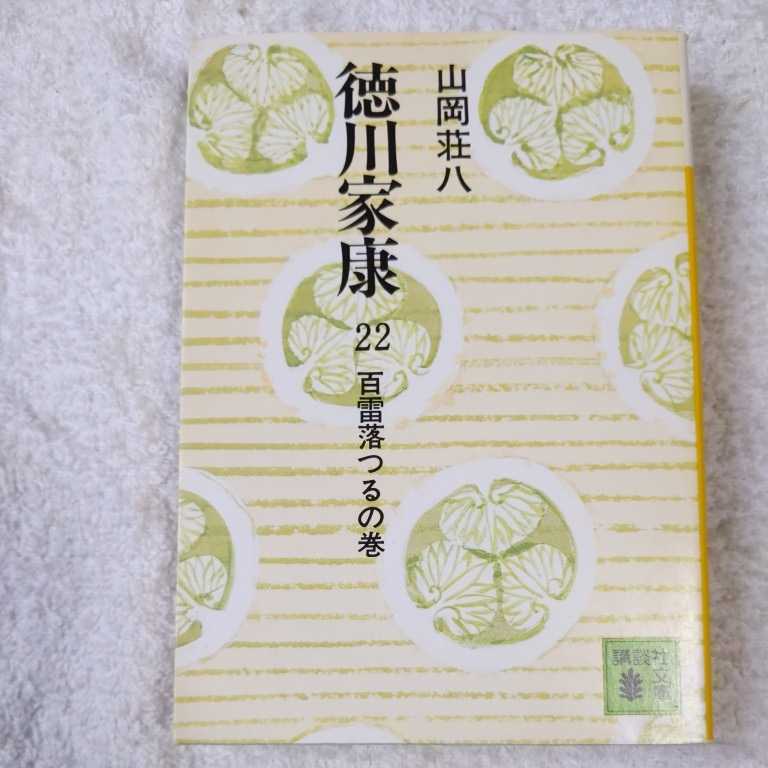 徳川家康 22 百雷落つるの巻 (講談社文庫) 山岡 荘八 9784061312227拍卖