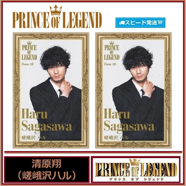 清原翔 (嵯峨沢ハル) プリンス オブ レジェンド PRINCE OF LEGEND スピードくじ フォトカード 2枚セット ローソン EXILE拍卖