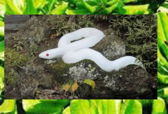 陰陽師金運開運ブレスレット霊視、お祓い、ヒーリングつき龍神54785245962456255体つきます。拍卖