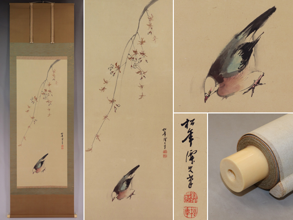 名品【真作】鈴木松年【桜に鳩】◆紙本◆合箱◆掛軸 v12182拍卖