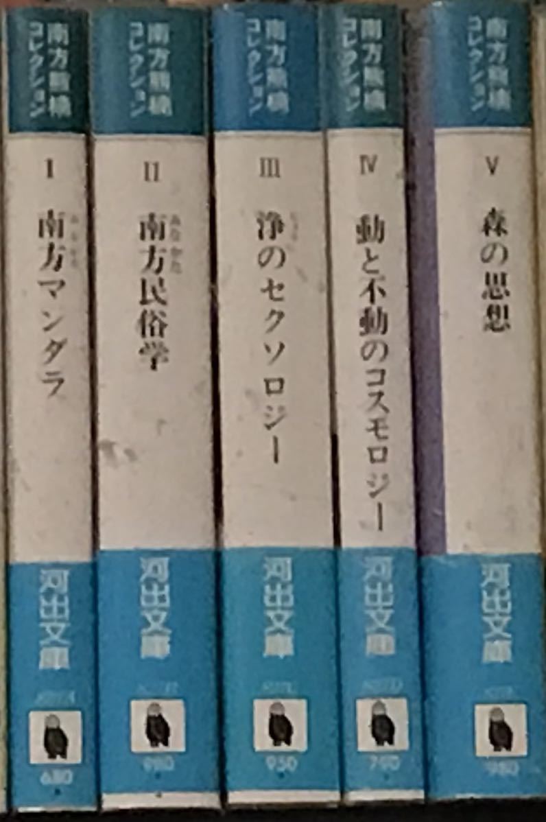 中沢新一 編 南方熊楠 コレクション 5冊揃 中公文庫 全巻初版帯付 未読美品拍卖