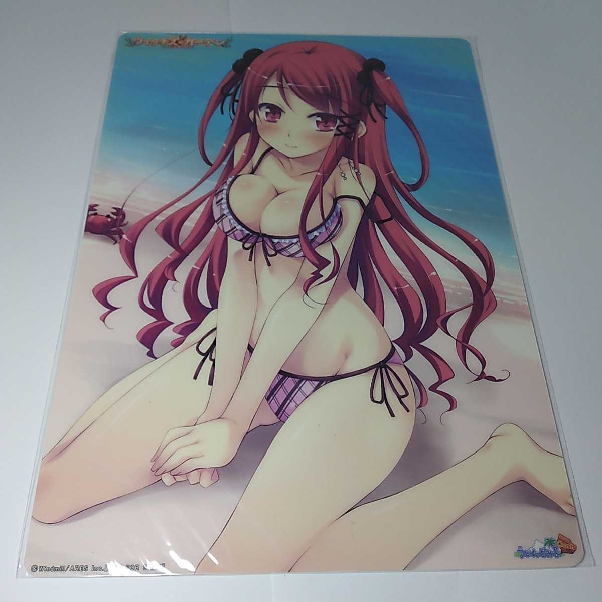 未使用 下敷き ウィッチズ・ガーデン Wireh's Garden 緋宮あやり こ~ちゃ 成瀬未亜 ういんどみるOasis 非売品拍卖