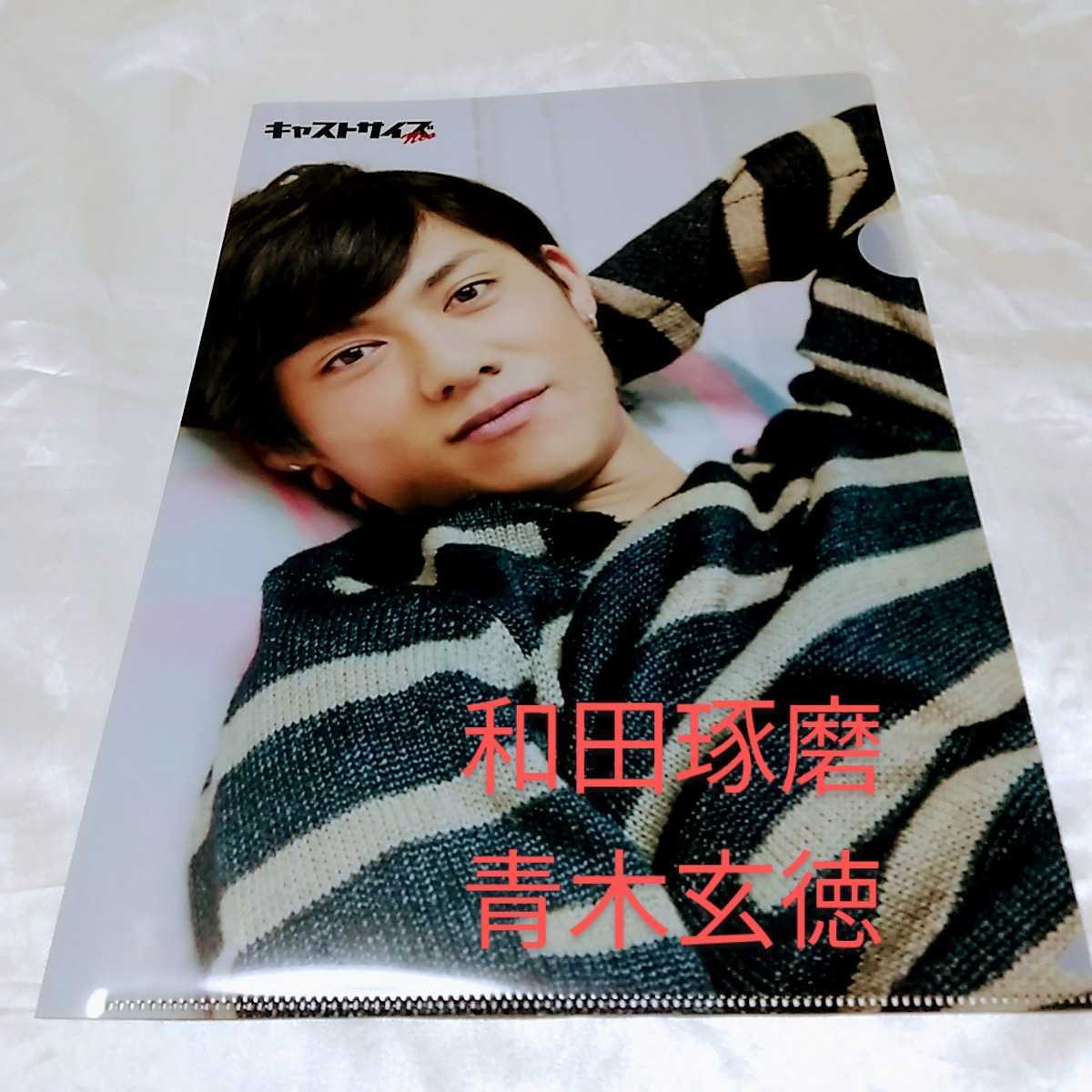 CASTSIZE キャストサイズ 付録 A4クリアファイル 和田琢磨 青木玄徳拍卖