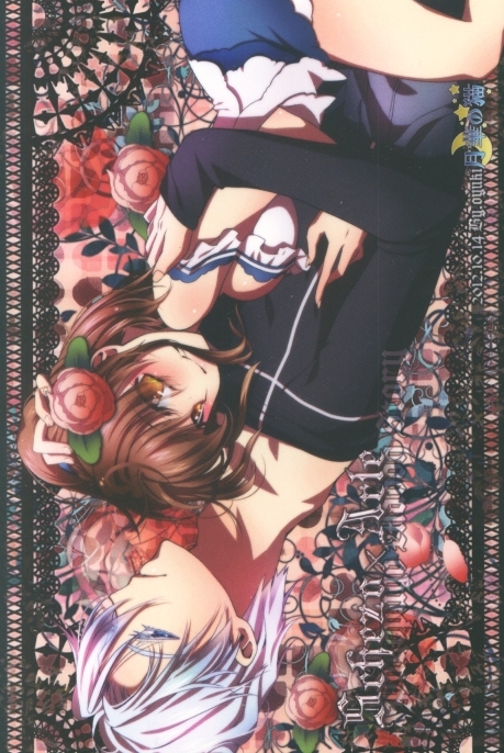 ぷよぷよ、イラストカード2枚セット(アルル・ナジャ&シェゾ)拍卖