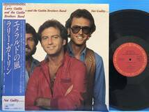【LP】ラリー・ガトリン エメラルドの風 LARRY GATLING NOT GUILTY EX+EX / NM- 洋楽拍卖