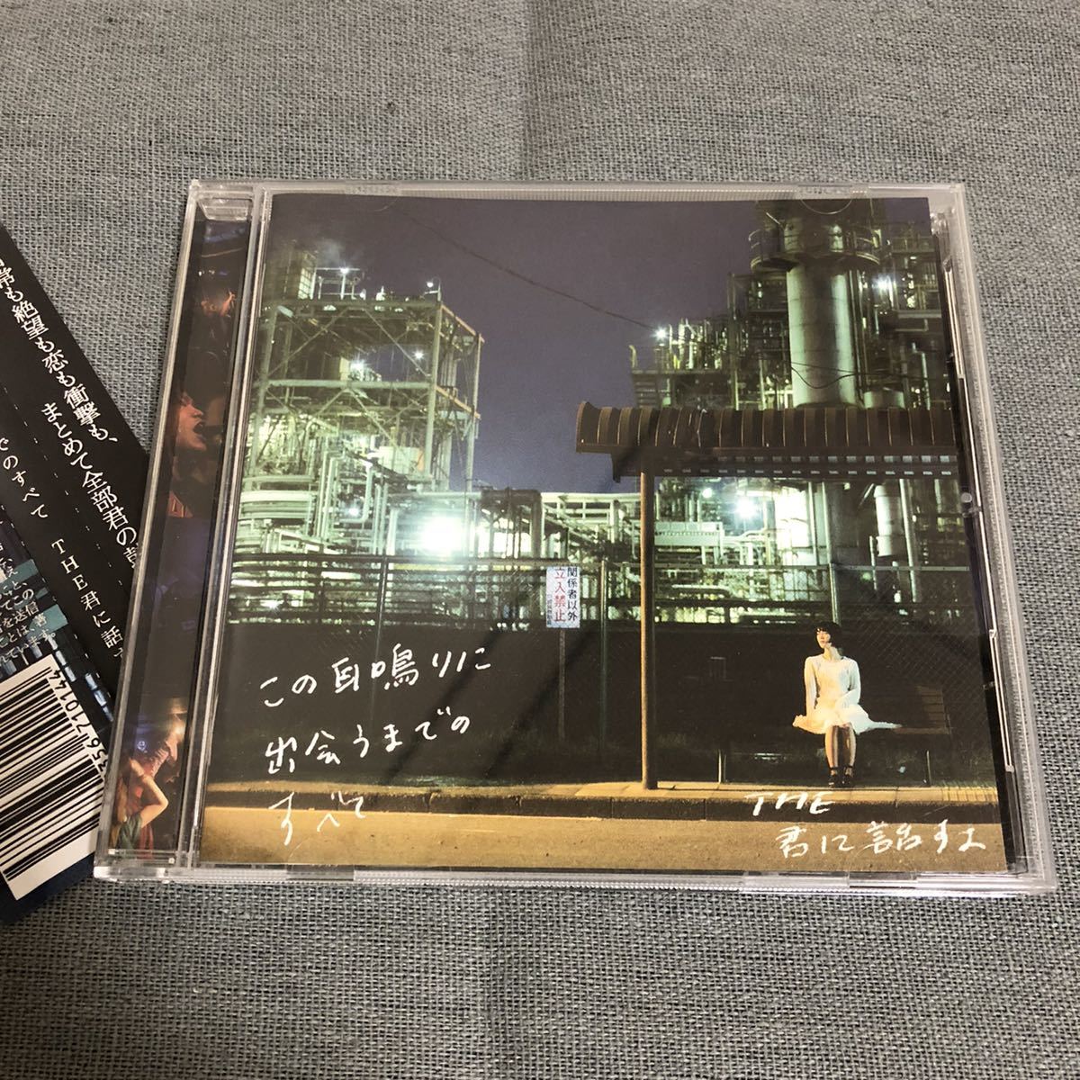 送料無料 / この耳鳴りに出会うまでのすべて / THE 君に話すよ 帯付き拍卖