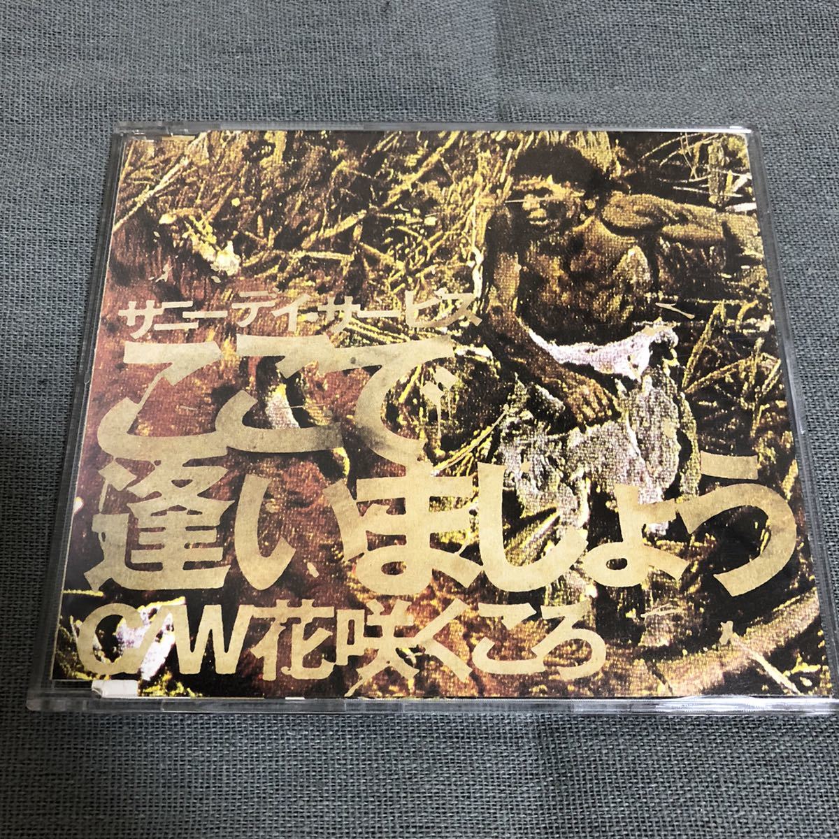 送料無料 / ここで逢いましょう / サニーデイ・サービス拍卖