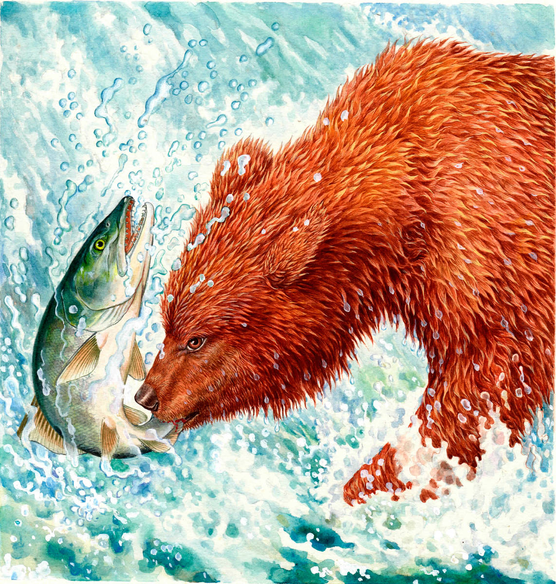 水彩画 生物細密画「エゾヒふグマ」 真作拍卖