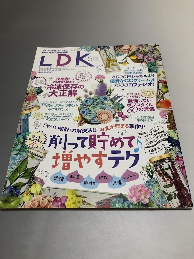 LDK (エル・ディー・ケー) 2018/6 保存術から冷凍野菜まで冷凍保存の大正解 優秀なCCクリーム ボフスタイル50の流儀拍卖
