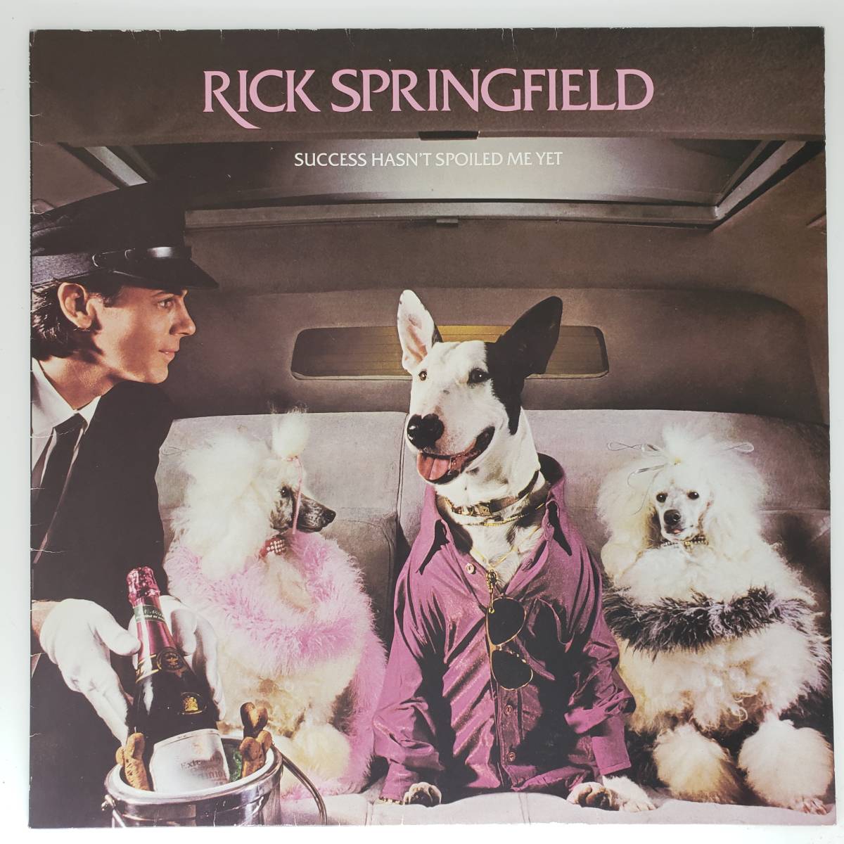 良盤屋 P-2748◆LP◆ リック・スプリングフィールド  Rick Springfield /Success Hasn't Spoiled Me Yet拍卖