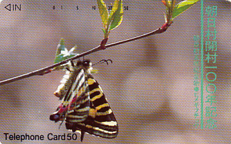 ●蝶 朝日村開村100年記念テレカ拍卖