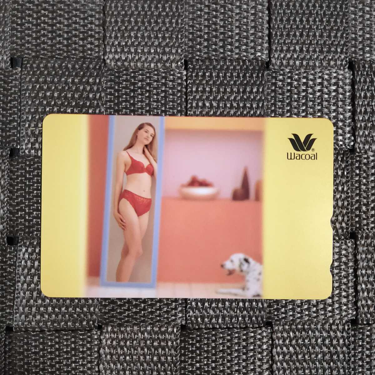 ◎ワコール(キャンペーンガール)のテレカ(4)◎拍卖