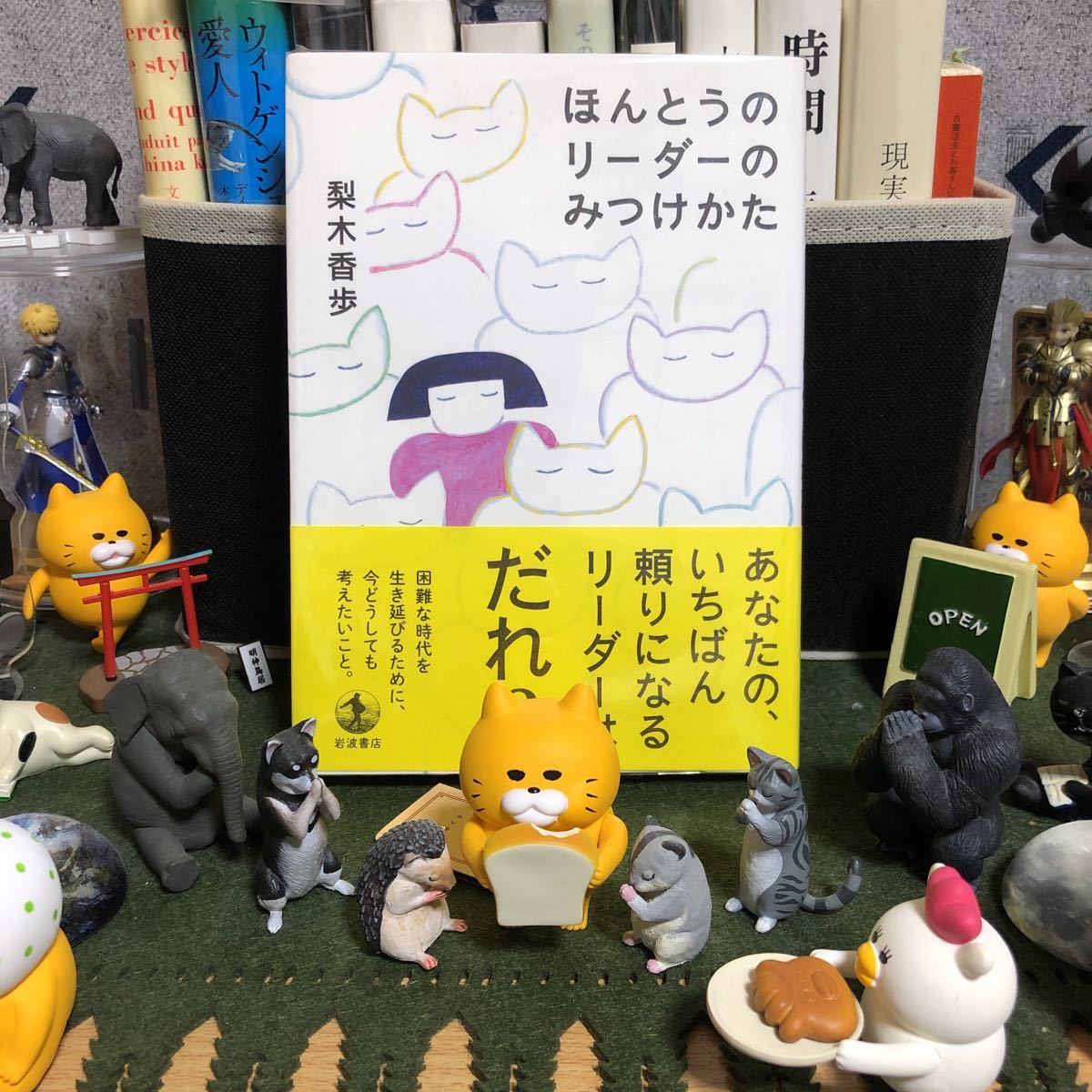 ほんとうのリーダーのみつけかた 梨木香歩拍卖