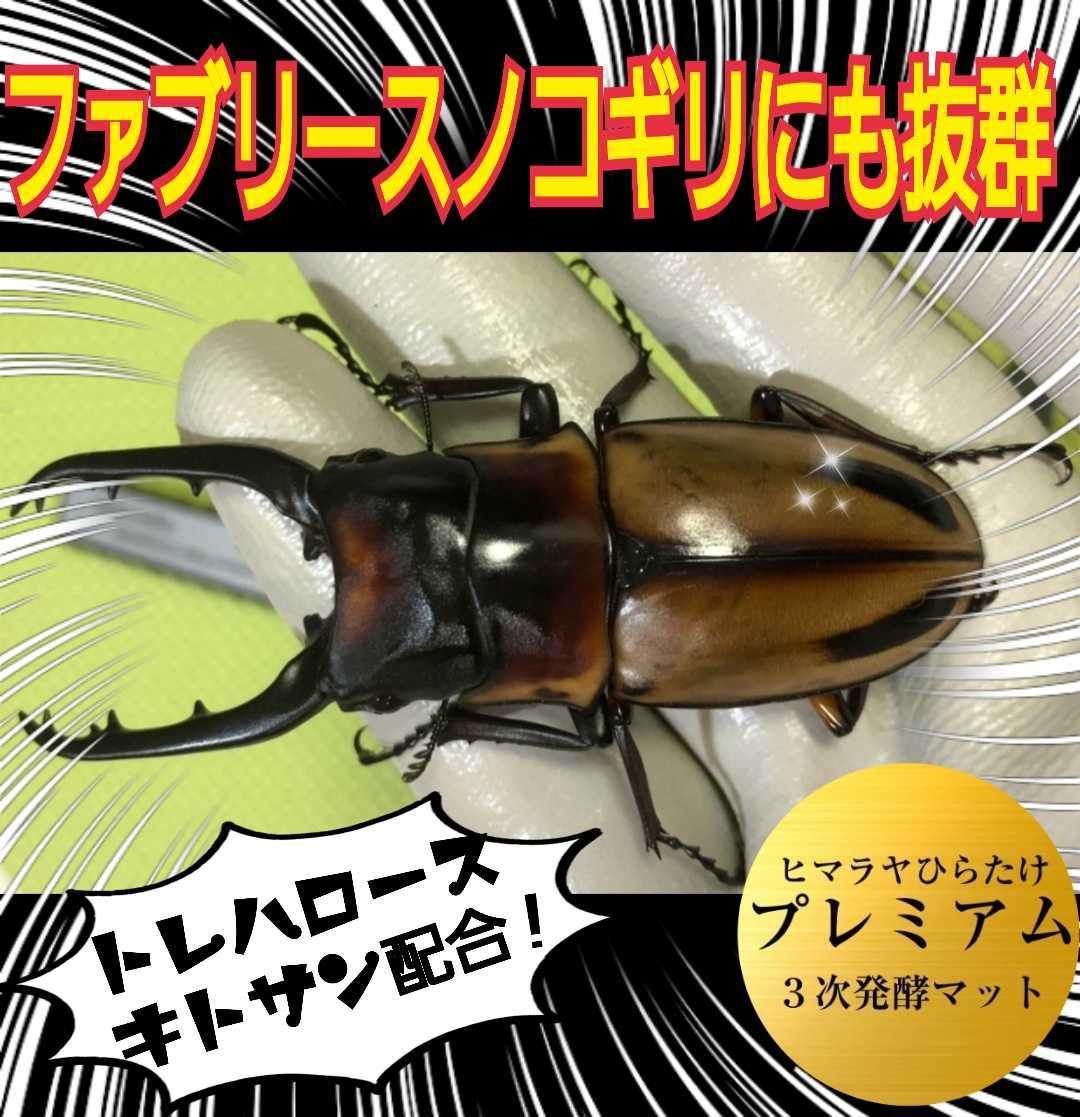 ファブリースノコギリに抜群!進化した!プレミアム3次発酵クワガタマット☆トレハロース、栄養添加剤3倍配合!コバエ、雑虫も全く湧かない拍卖