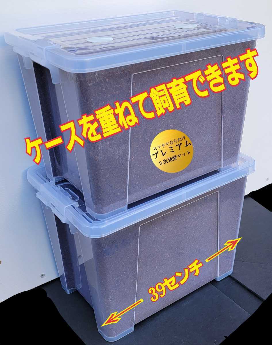 特大ケース付き☆プレミアム発酵マット20L入り☆カブトムシ幼虫を入れるだけ☆便利!大型成虫羽化できます!コバエ防止特殊フィルター付き拍卖