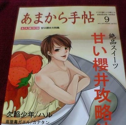 嵐/苺屋毒ガエル・欠陥少年「あまから手帳」潤翔 JS 同人誌拍卖