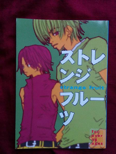 V6/V-SHOCK「ストレンジ フルーツ」 健剛 同人誌 拍卖