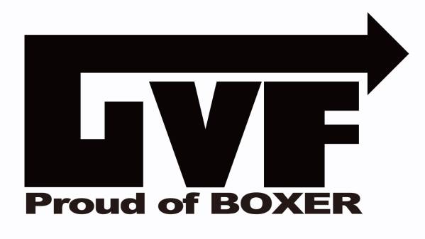 インプレッサ GVF スバル STI ボクサー NOS風 ステッカー 133拍卖