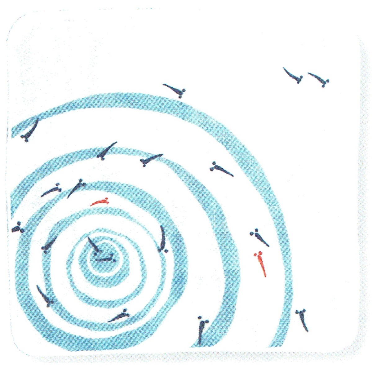 ガーゼタオル「めだか」OBORONタオルハンカチ 謡229-9306-16拍卖