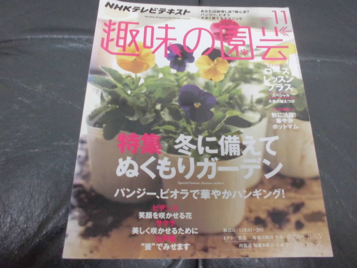 趣味の園芸 2013年11月号 冬に備えてぬくもりガーデン パンジー ビオラ ビデンス サクラ 江戸菊 ポットマム ローズ拍卖