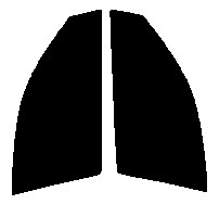 スモーク 26% 2層構造フィルム 運転席・助手席 トヨタ マーク2 (マークII) X110・X115 カット済みカーフィルム 拍卖