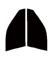 ゴースト2 ネオ オーロラ79 運転席、助手席 アルテッツァ SXE10・GXE10 カット済み フィルム拍卖