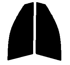 ゴースト2 ネオ オーロラ79 運転席、助手席 シーマ F50 カット済み フィルム拍卖