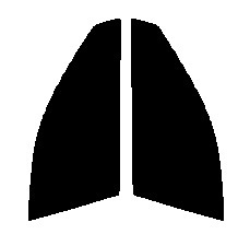 ファインゴースト オーロラ87 運転席、助手席 ADバン Y11カット済みフィルム拍卖